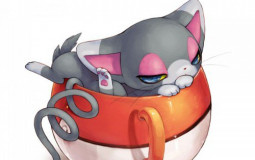 Pokémon chat
